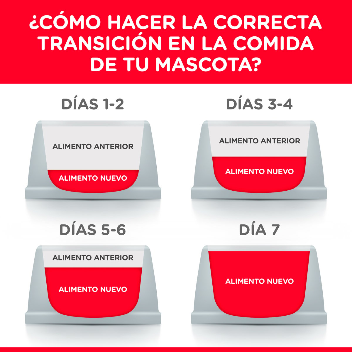 Alimento Hill's Science Diet Adulto Bajo en Calorías Para Gato (UNICAMENTE BAJO PEDIDO)