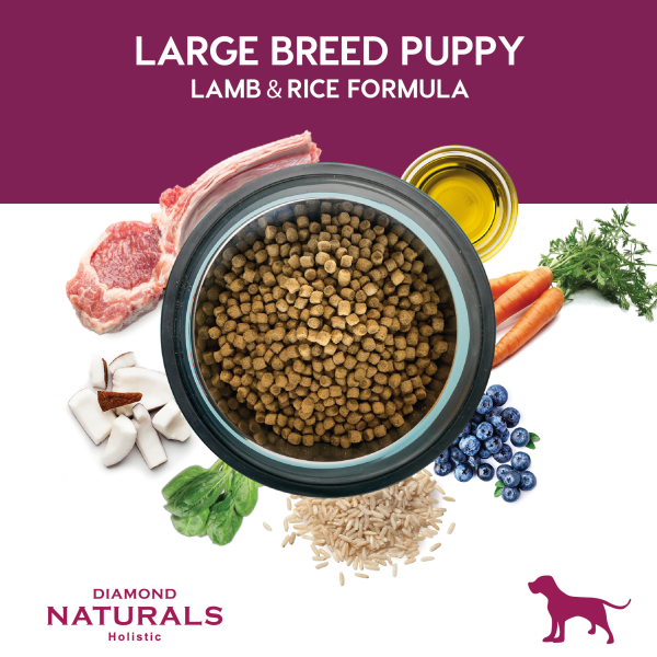 Alimento Diamond Naturals Cordero y Arroz Cachorro Razas Grandes 18.14 KG (UNICAMENTE BAJO PEDIDO)