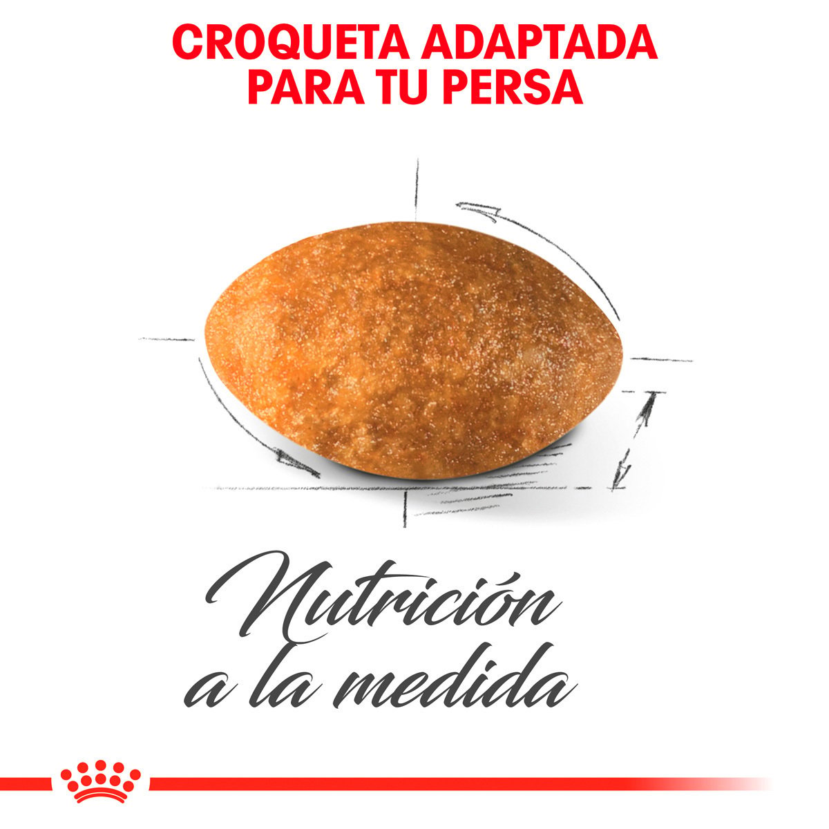 Alimento Royal Canin Persa Adulto 3.18kg