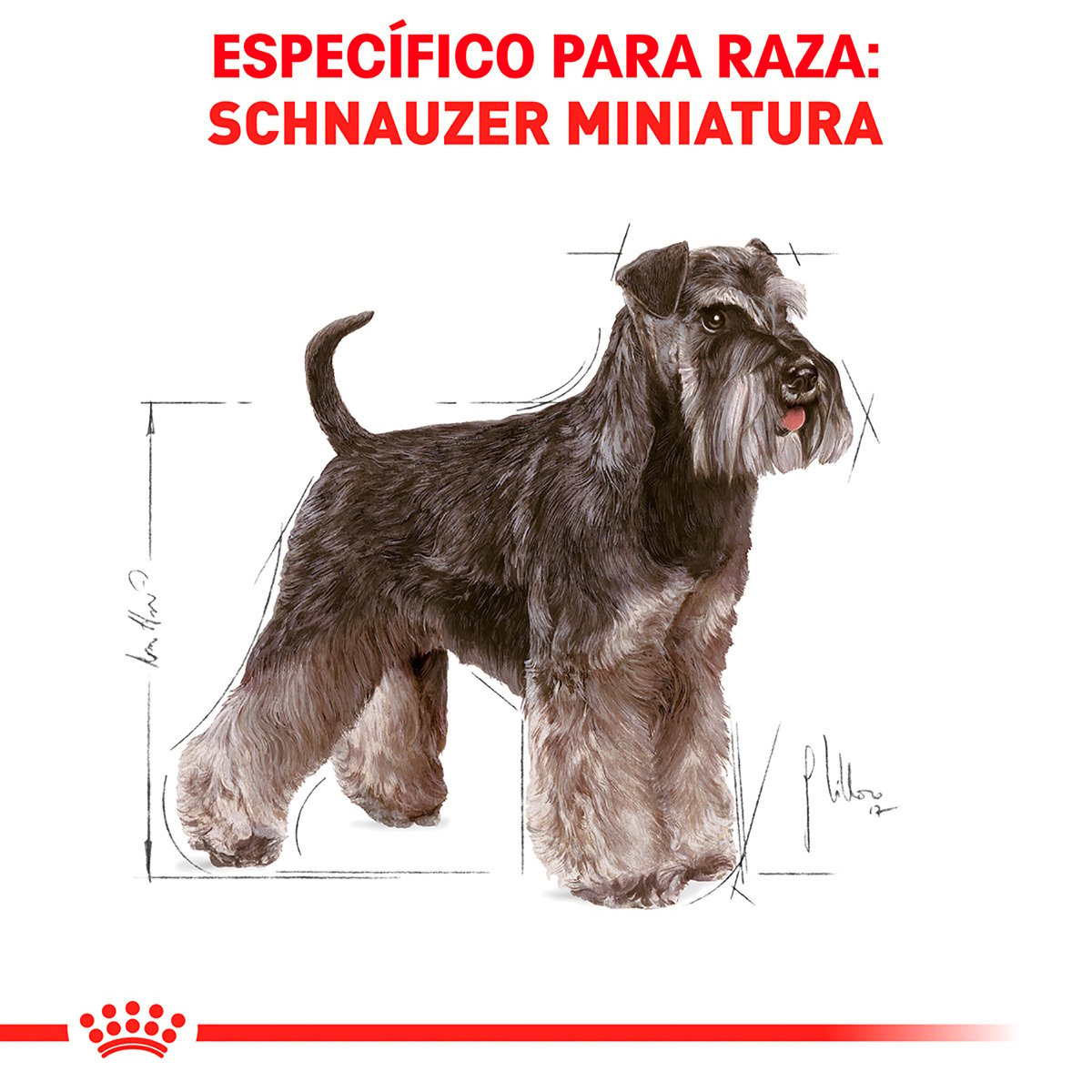 Alimento Royal Canin BHN Miniature Schnauzer Adulto 4.54kg
