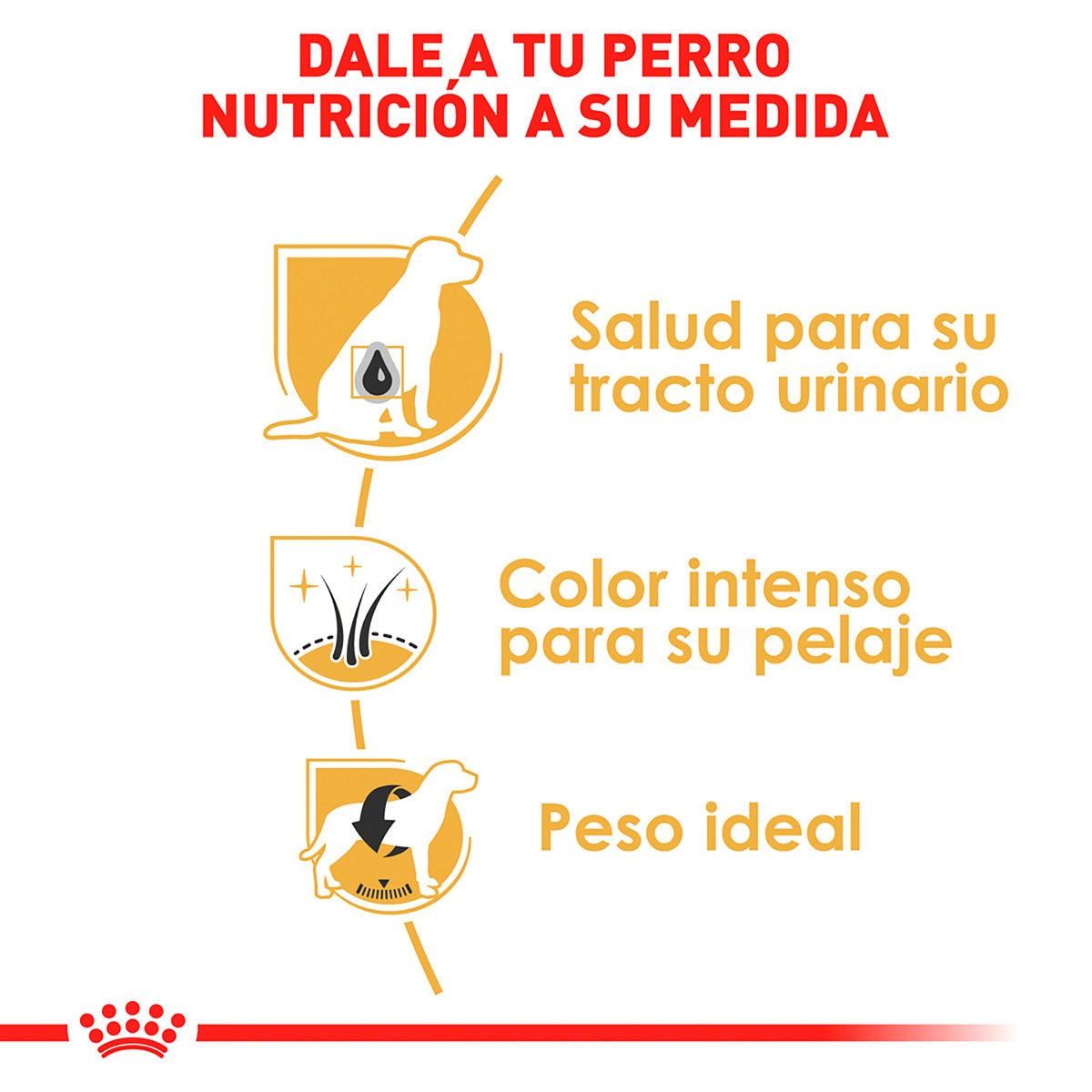 Alimento Royal Canin BHN Miniature Schnauzer Adulto 4.54kg