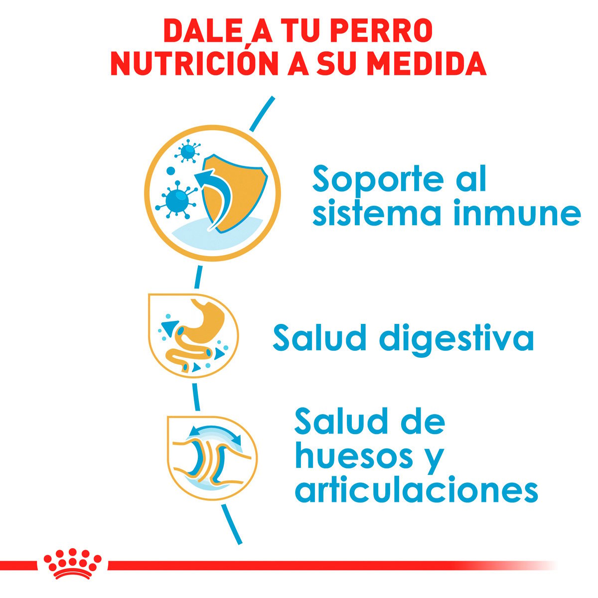 Royal Canin Bulldog Puppy (UNICAMENTE BAJO PEDIDO)
