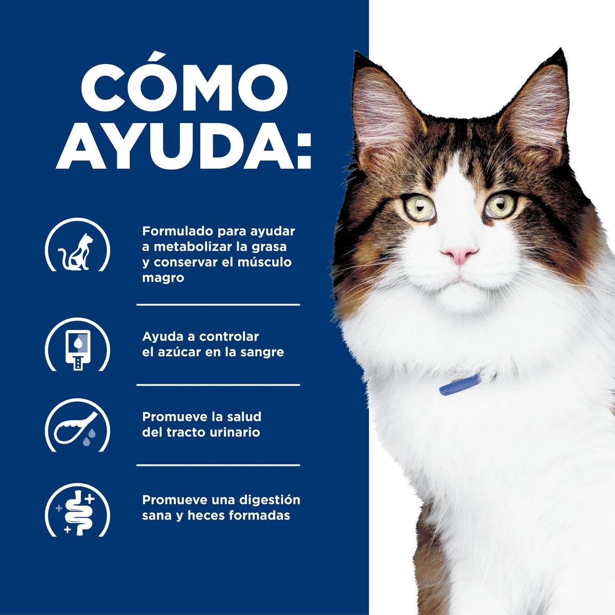Alimento Hill's Prescription Diet w/d Multi-Beneficios Para Gato 3.9kg