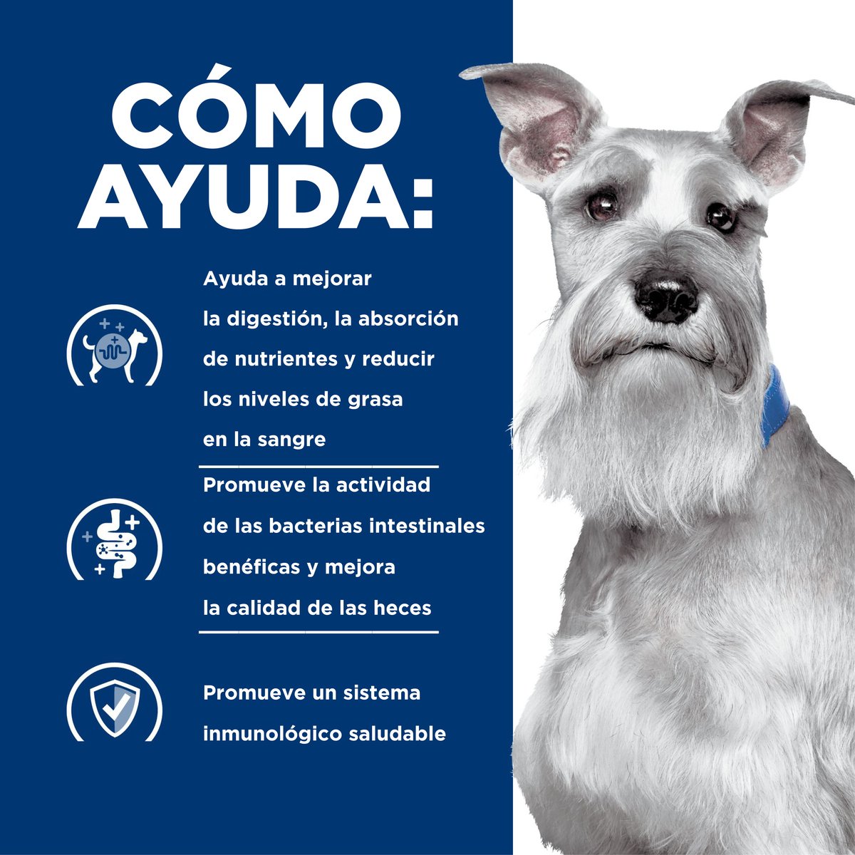 Alimento Hill's Prescription Diet i/d Cuidado Digestivo Low Fat Para Perro 3.9kg