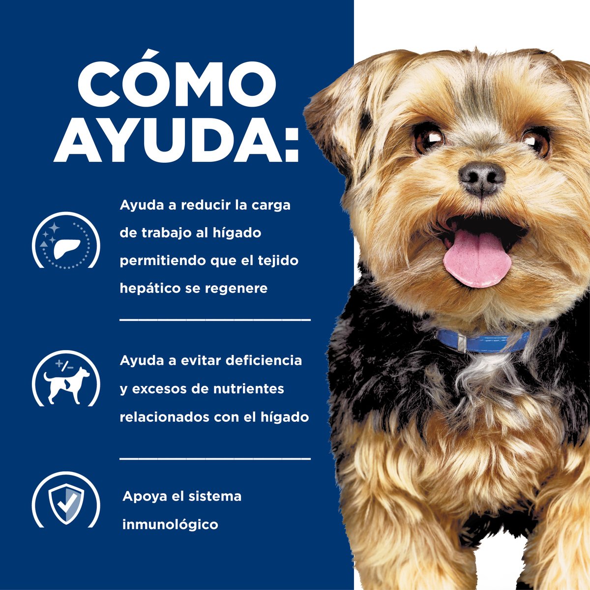 Alimento Hill's Prescription Diet l/d  Cuidado del Hígado Para Perro 8kg