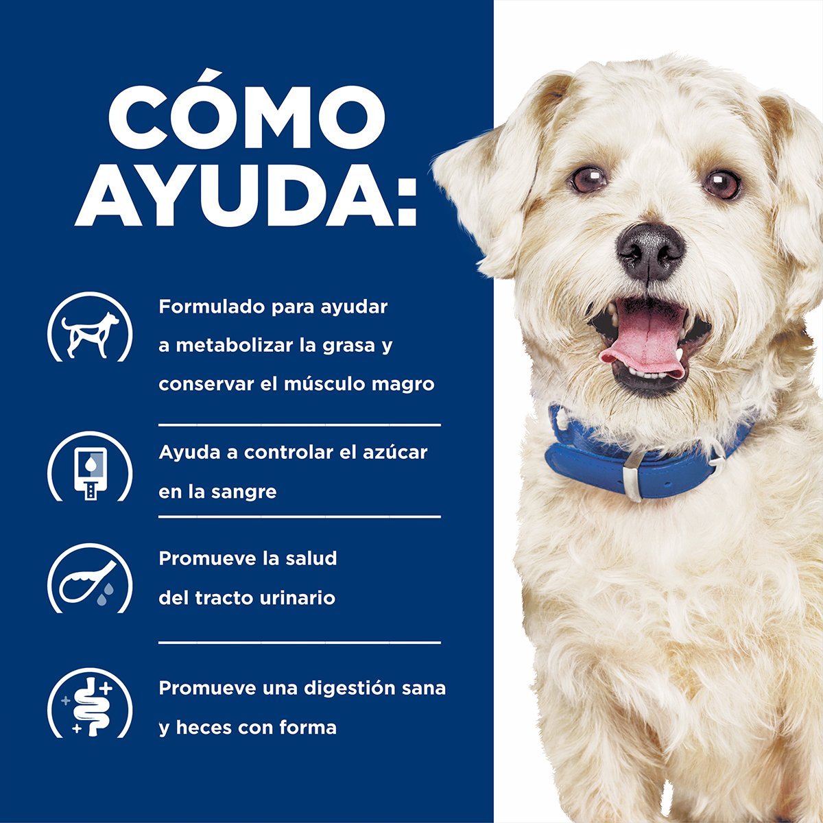 Alimento Hill's Prescription Diet w/d Multi-Beneficios Para Perro Lata 370g