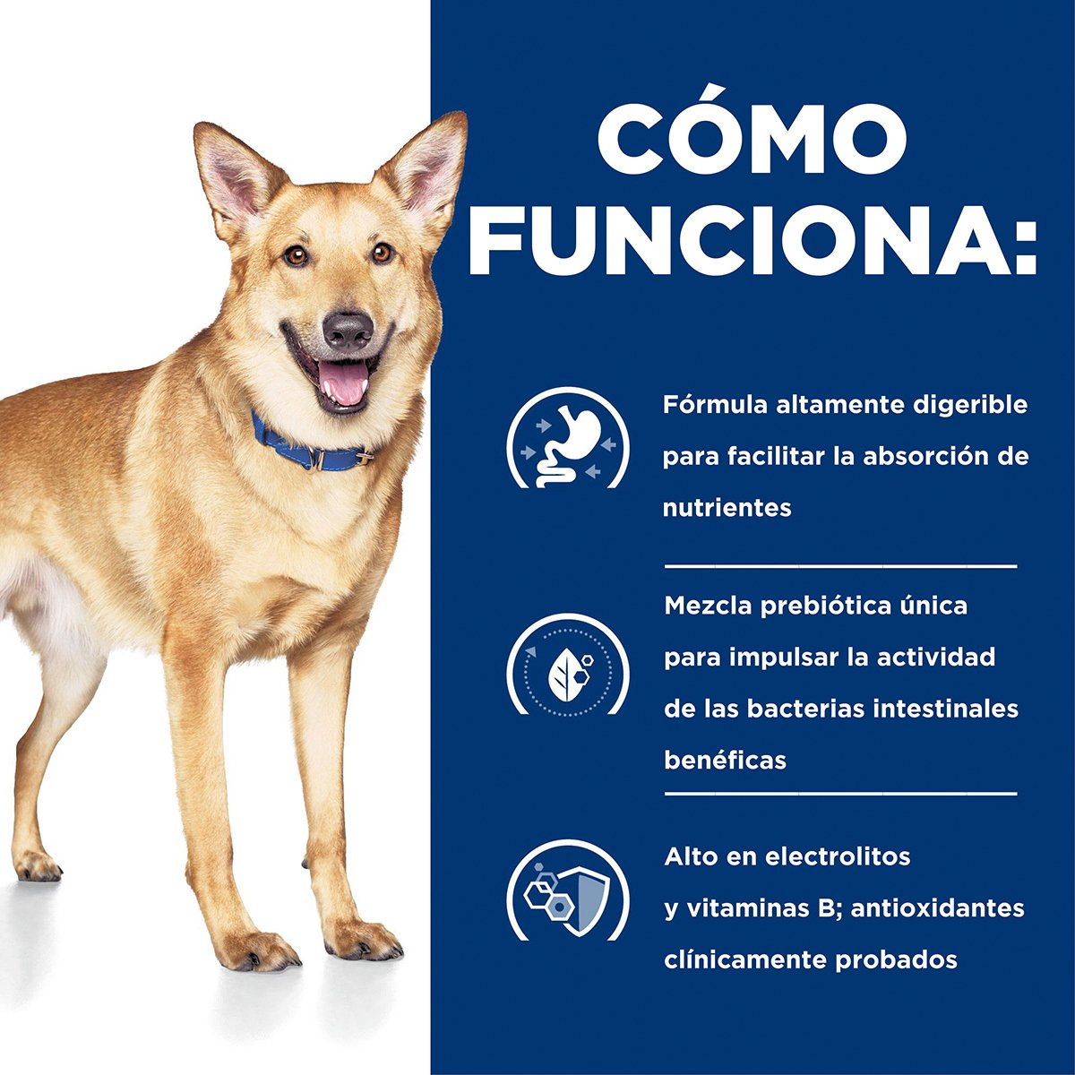 Alimento Hill's Prescription Diet i/d Cuidado Digestivo Para Perro