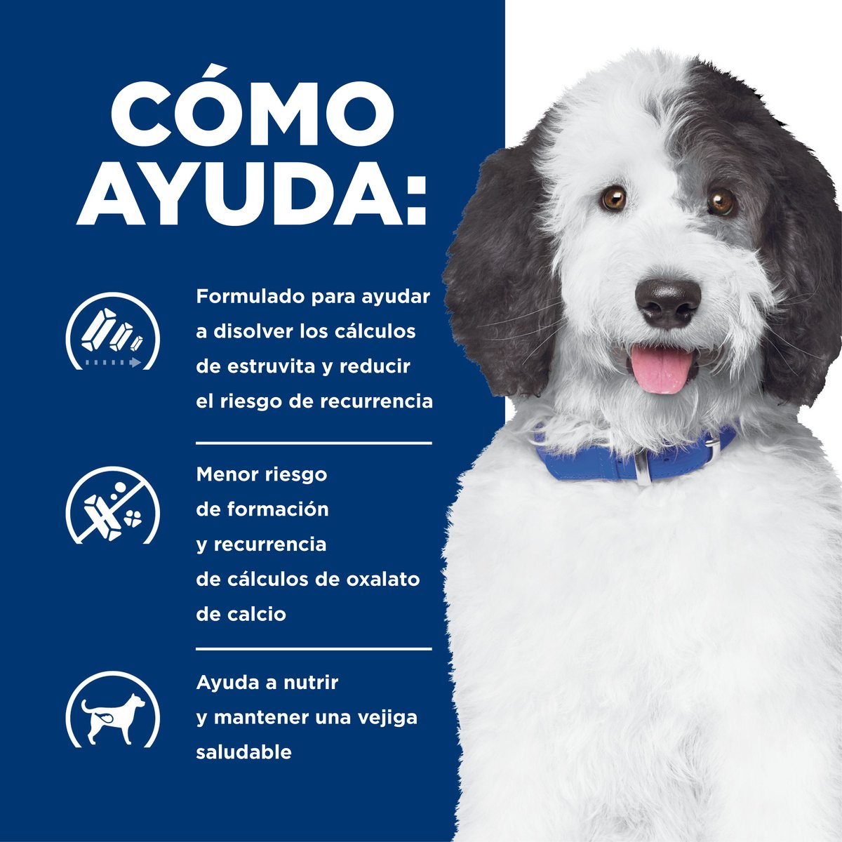Alimento Hill's Prescription Diet c/d Cuidado Urinario Para Perro
