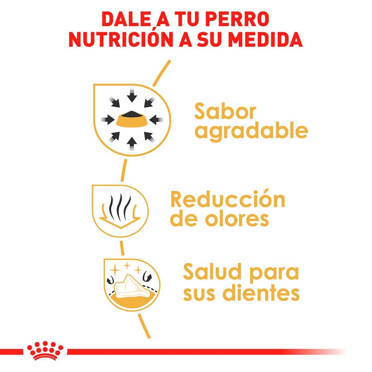 Alimento Royal Canin BHN Chihuahua Adulto