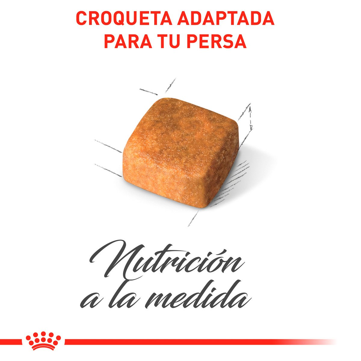 Alimento Royal Canin Persan Kitten 1.37 kg