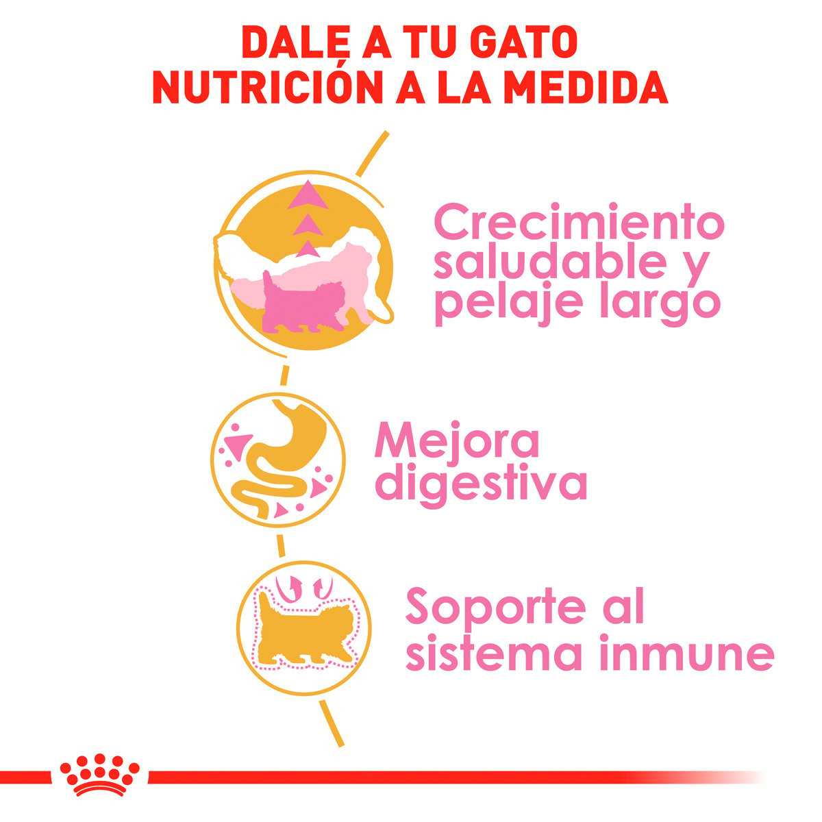 Alimento Royal Canin Persan Kitten 1.37 kg