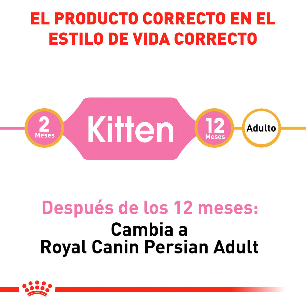 Alimento Royal Canin Persan Kitten 1.37 kg