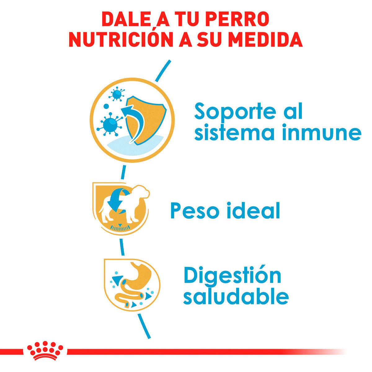 Alimento Royal Canin BHN Miniature Schnauzer Puppy 1.13kg