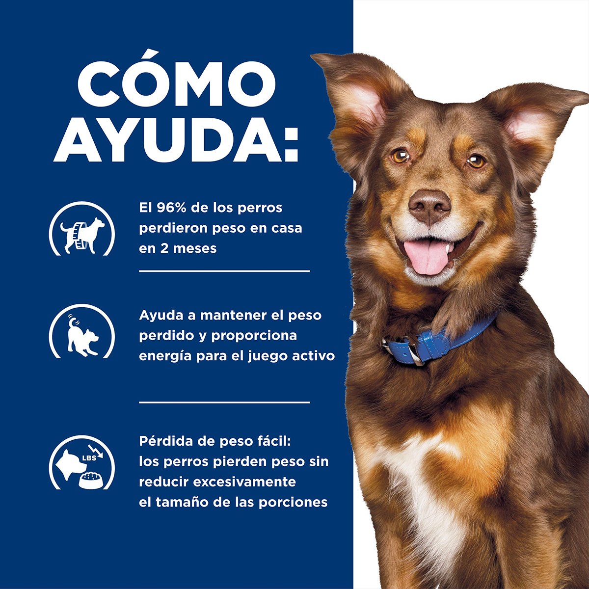Alimento Hill's Prescription Diet Metabolic Para Perro Lata 370g