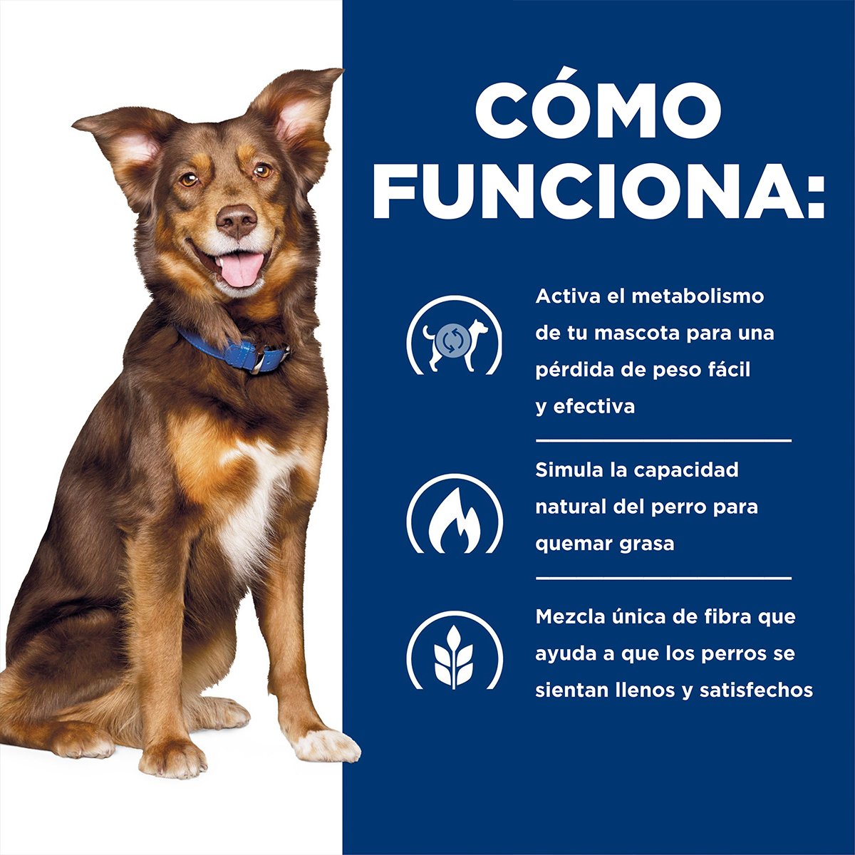 Alimento Hill's Prescription Diet Metabolic Para Perro Lata 370g