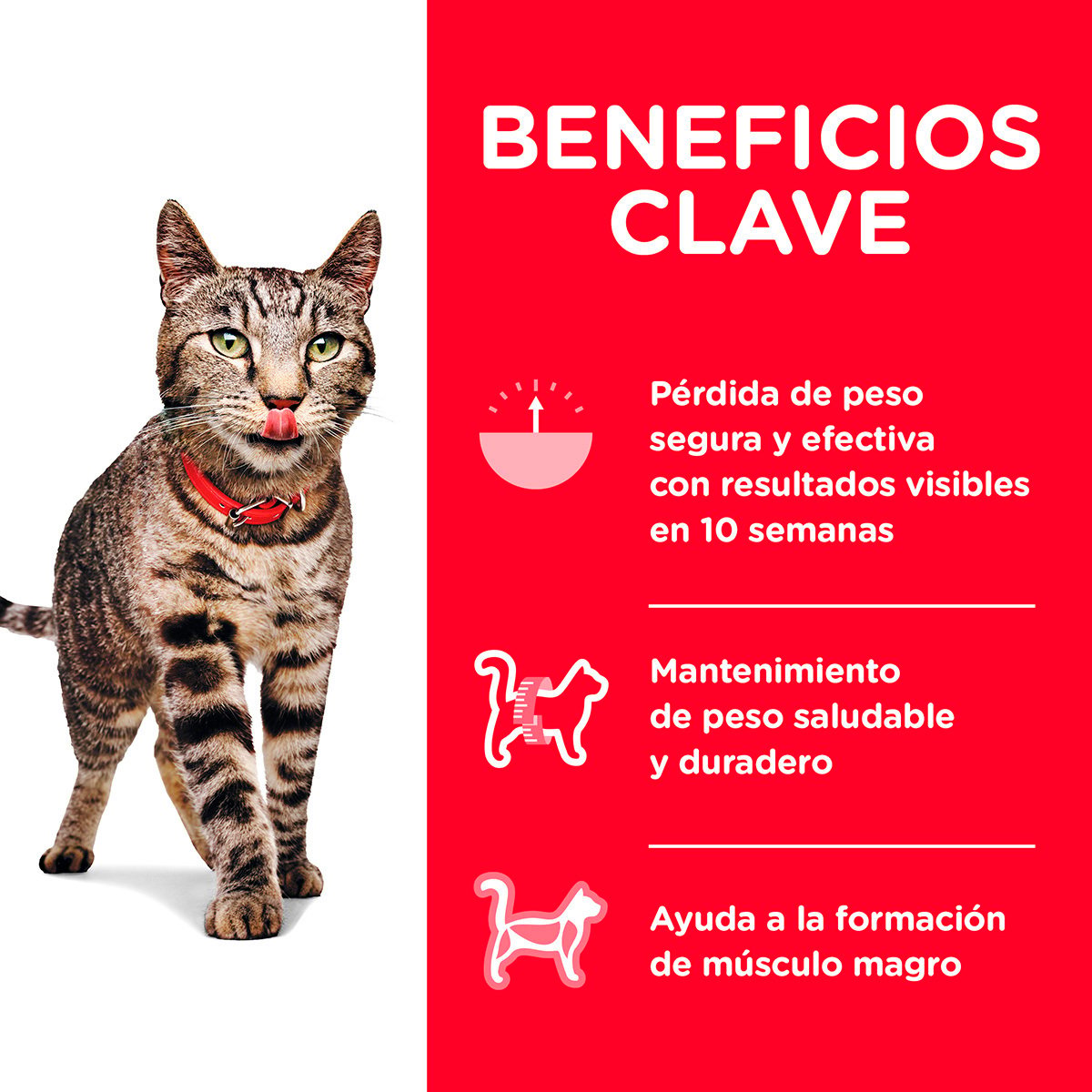 Alimento Hill's Science Diet Adulto Peso Perfecto Para Gato (UNICAMENTE BAJO PEDIDO)