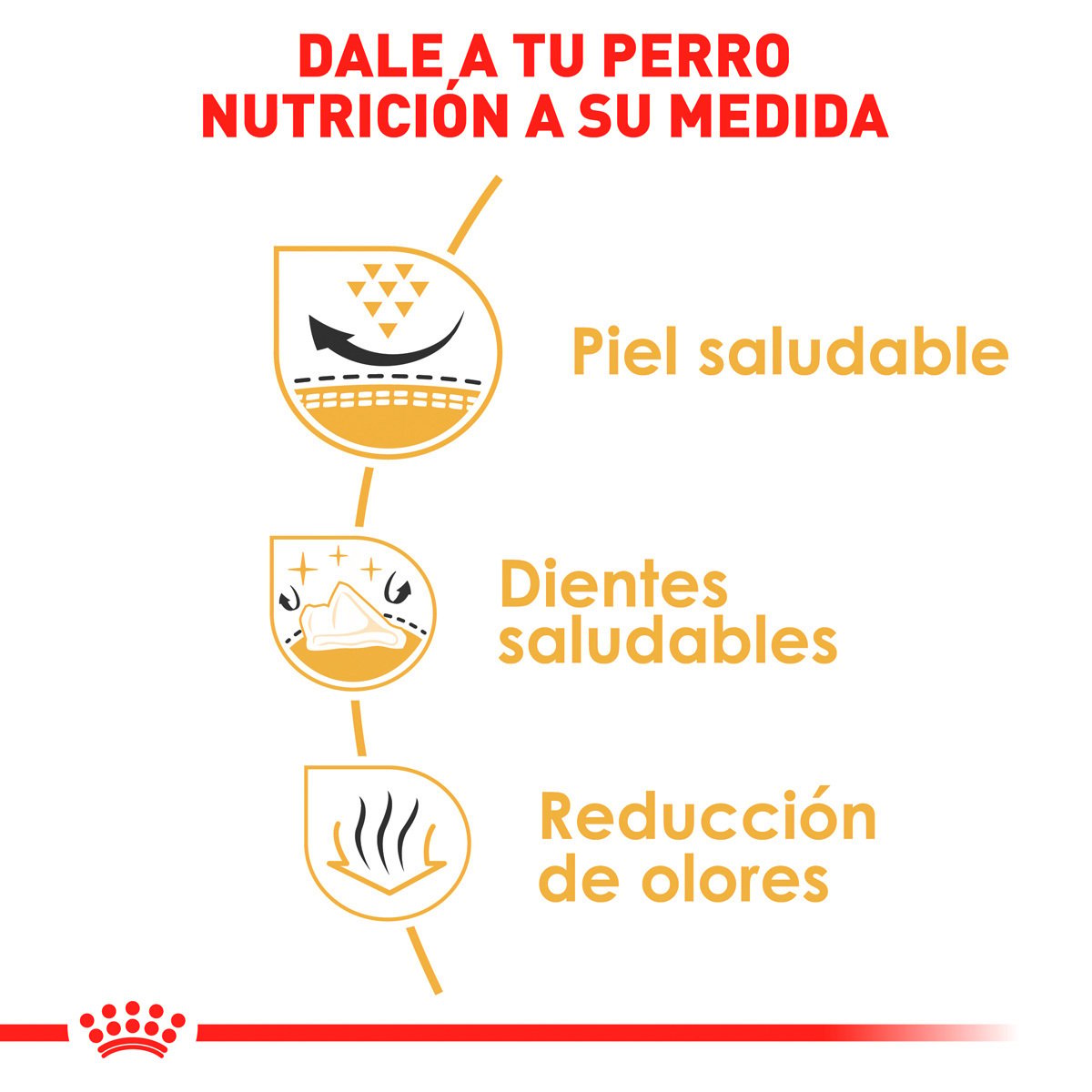 Alimento Royal Canin BHN Shih Tzu Adulto