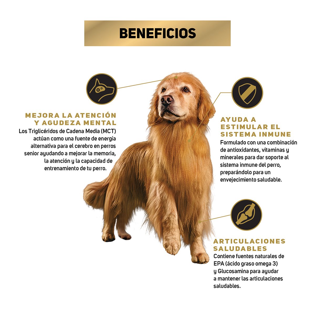 Alimento Pro Plan Active Mind R. Med/Gdes