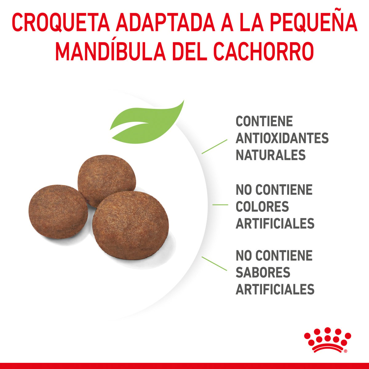 Alimento Royal Canin Para Perro Cachorro Raza Grande