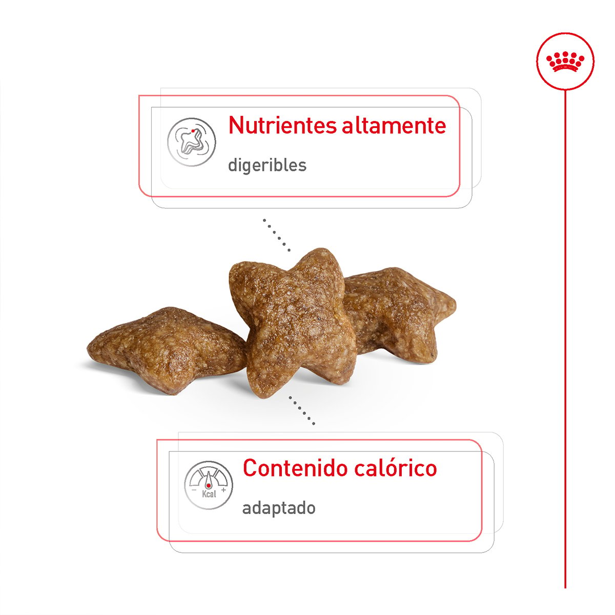 Alimento Royal Canin Adulto Razas Pequeñas