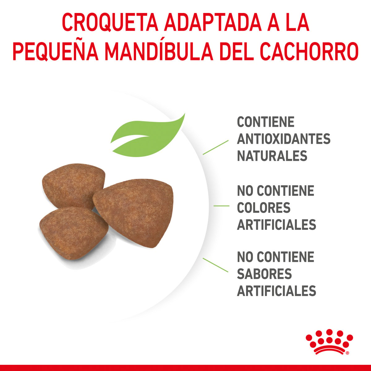 Alimento Royal Canin Para Perro Cachorro Raza Pequeña