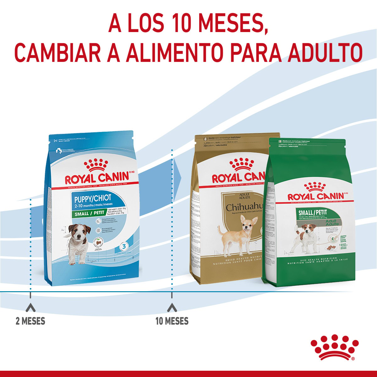 Alimento Royal Canin Para Perro Cachorro Raza Pequeña