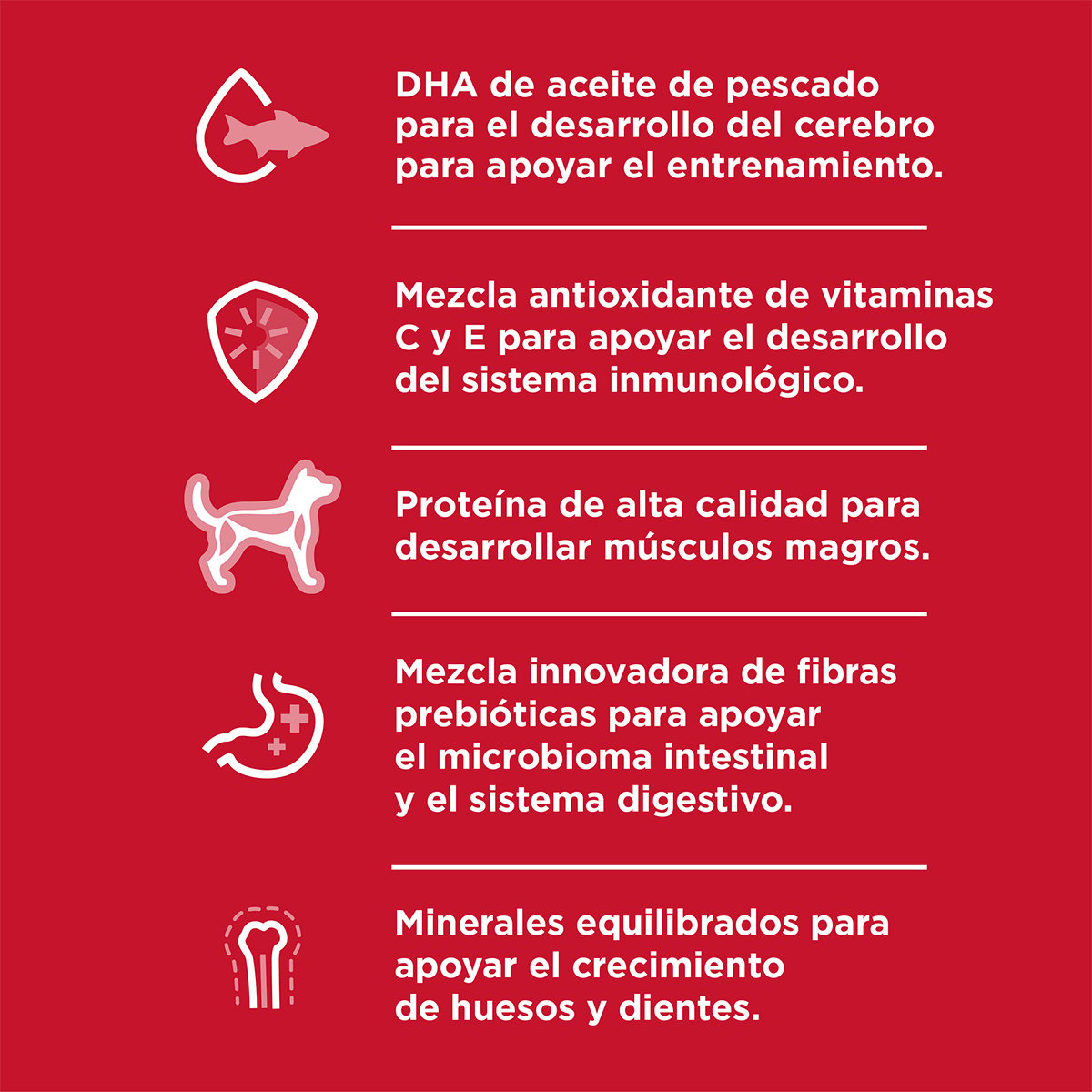 Alimento Hill's Science Diet Original Cachorro Para Perro Raza Mediana