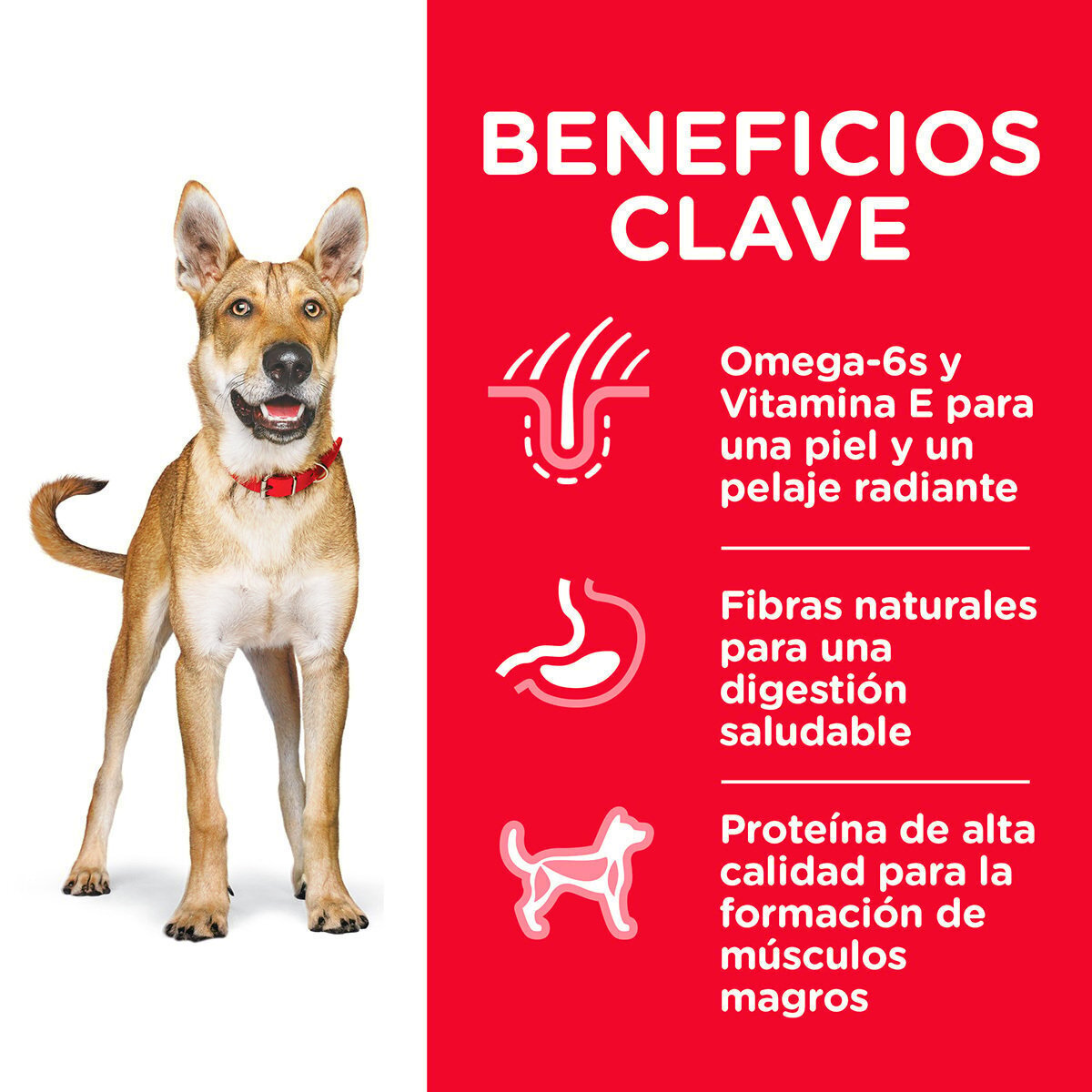 Alimento Hill's Science Diet Original Adulto Para Perro