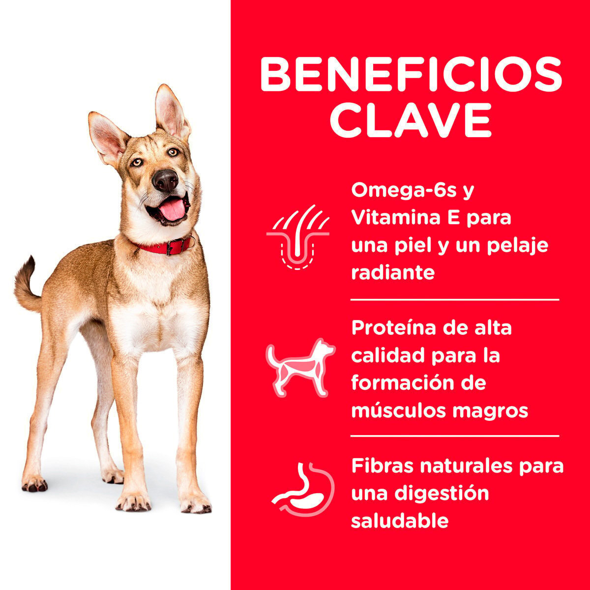 Alimento Hill's Science Diet Original Adulto Cordero y Arroz Para Perro 15kg