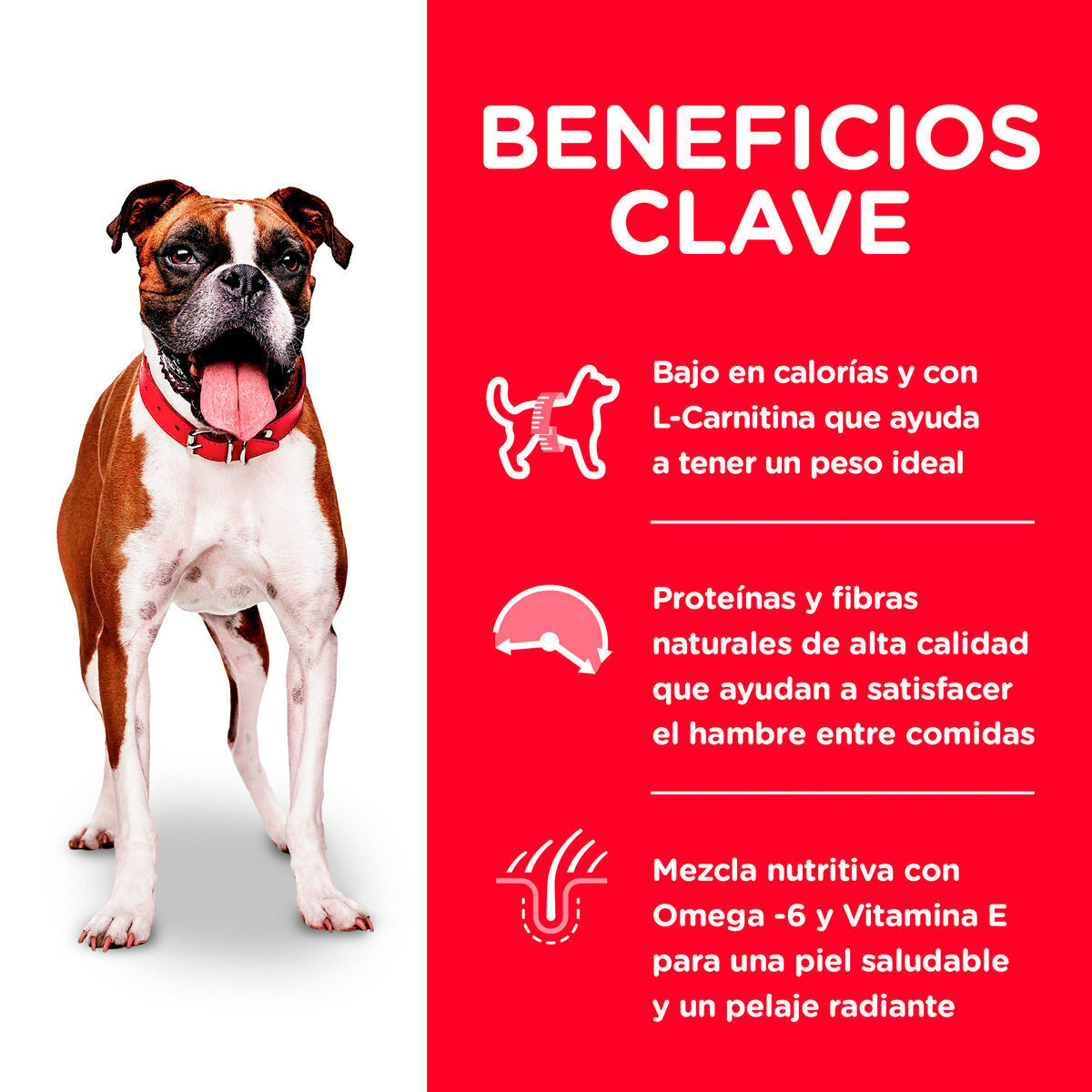 Alimento Hill's Science Diet Adult Light Dog Food (UNICAMENTE BAJO PEDIDO)