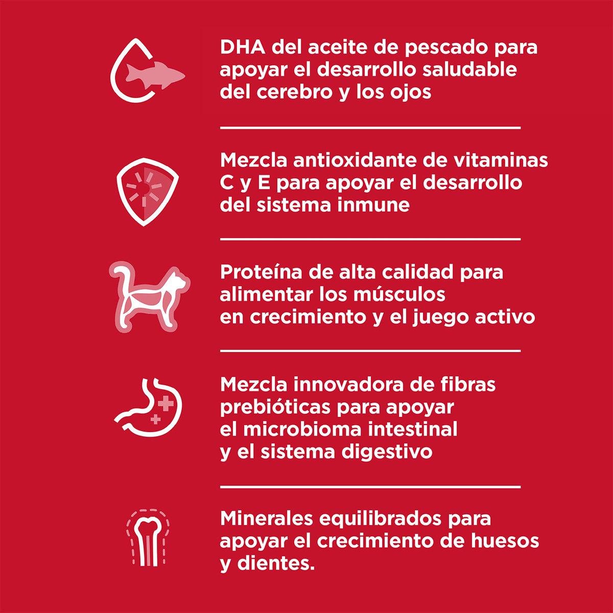 Alimento Hill's Science Diet Original Gatito Lata 156g