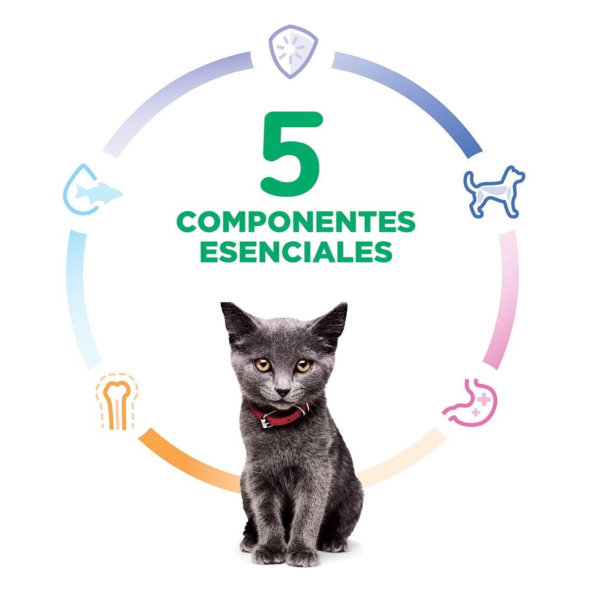 Alimento Hill's Science Diet Indoor Kitten Para Gato