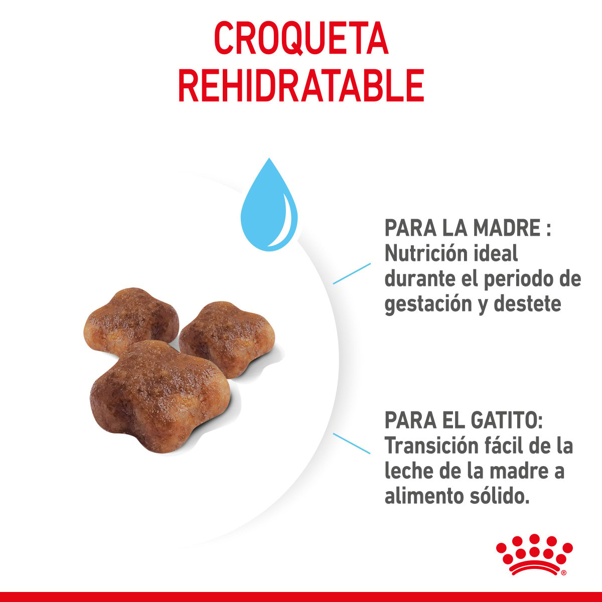 Royal Canin Mom & BabyCat Alimento Seco para Gestación / Lactancia o Destete para Gato, 1.3 kg