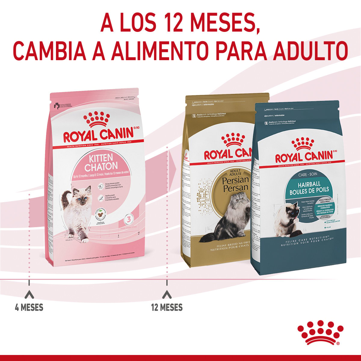 Alimento Royal Canin Kitten Chaton