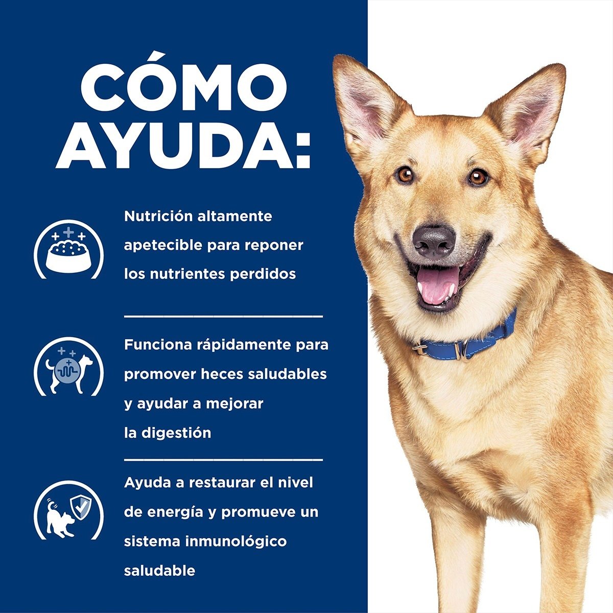 Hill's Prescription Diet i/d Cuidado Digestivo Estofado Para Perro Lata 354g