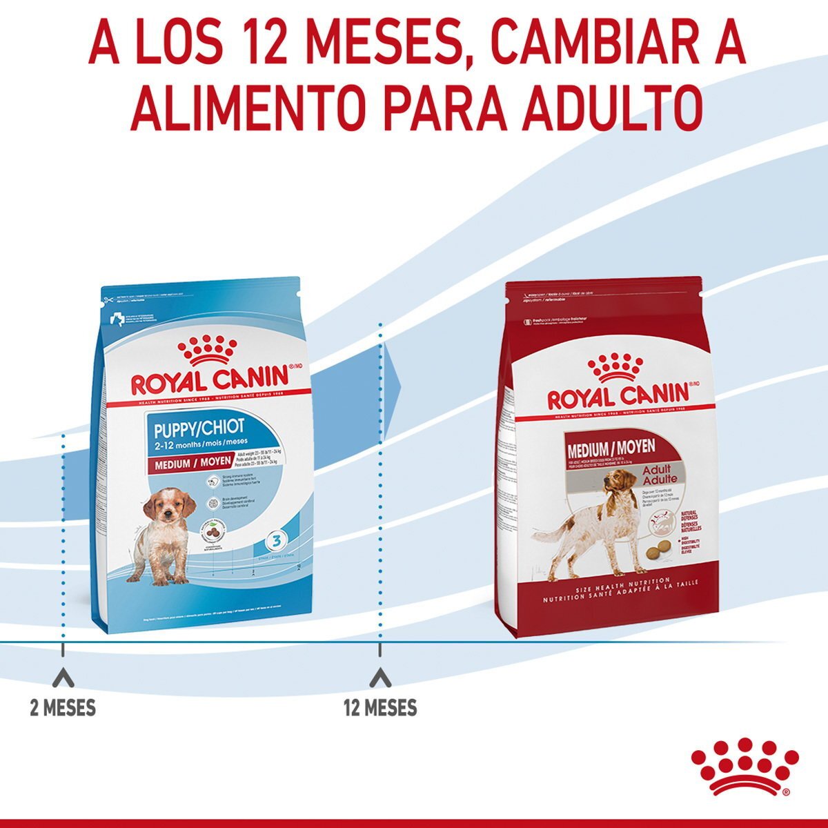 Alimento Royal Canin Para Perro Cachorro Raza Mediana (UNICAMENTE BAJO PEDIDO)