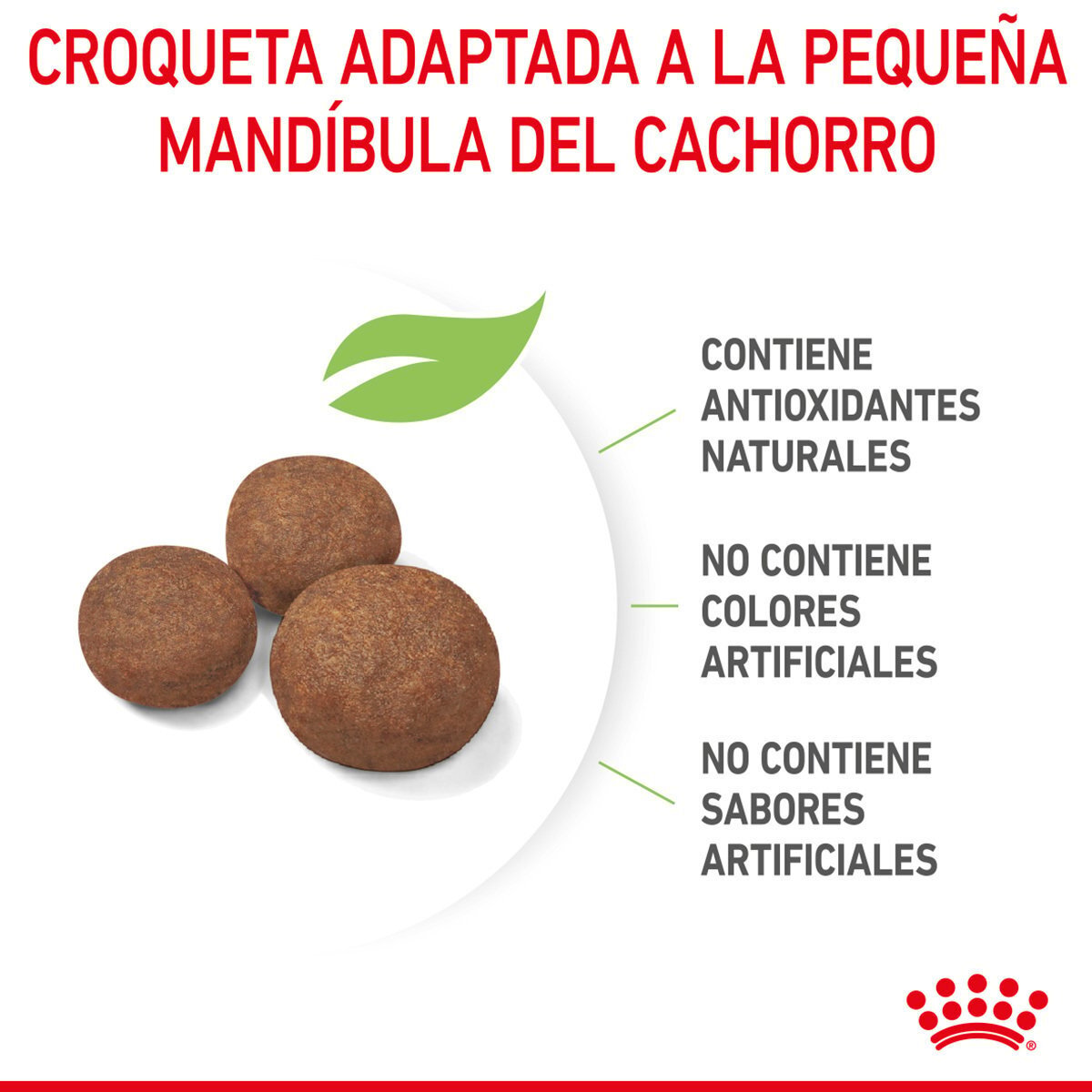 Alimento Royal Canin Para Perro Cachorro Raza Mediana (UNICAMENTE BAJO PEDIDO)