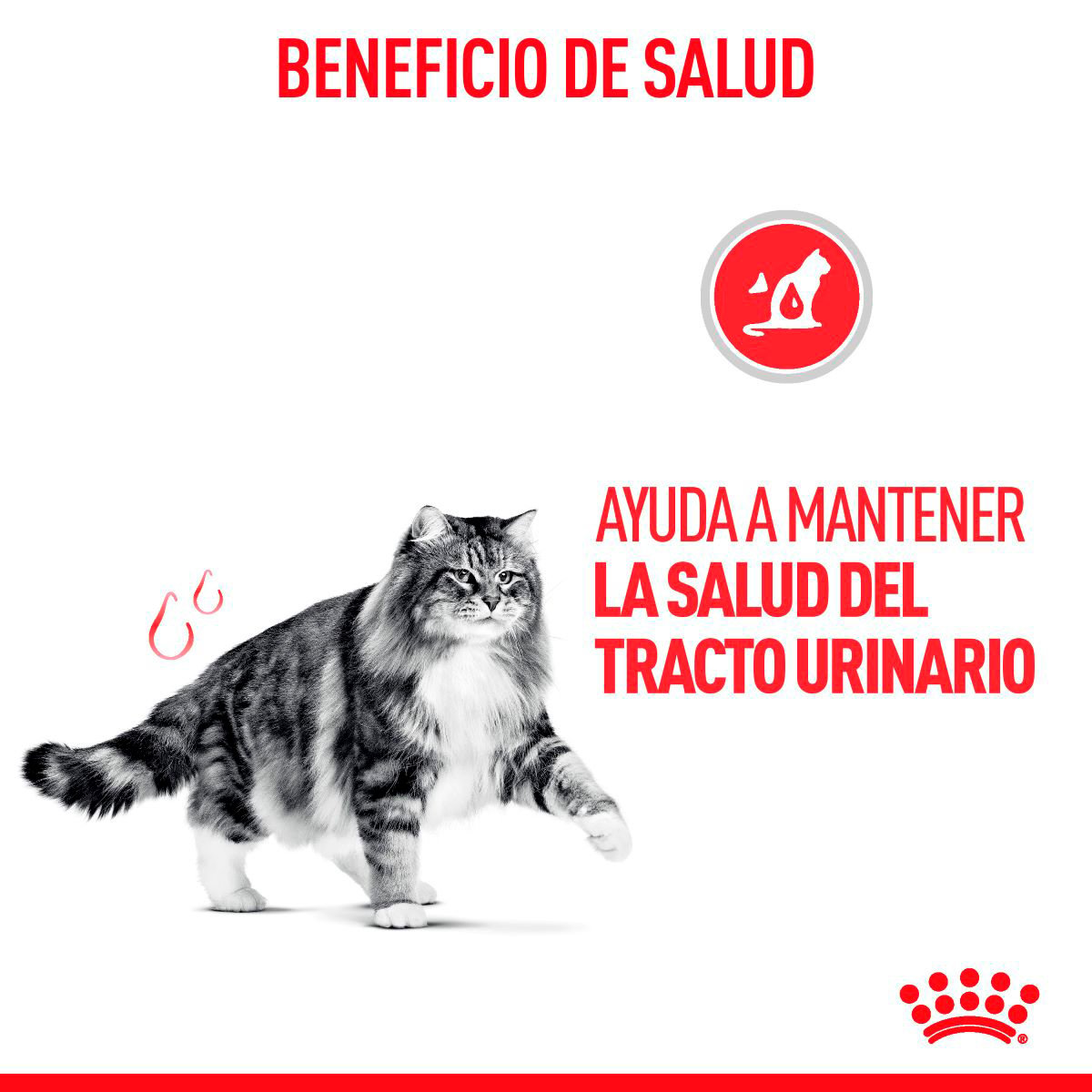 Royal Canin Alimento Húmedo Cuidado Urinario para Gato Adulto 85 g