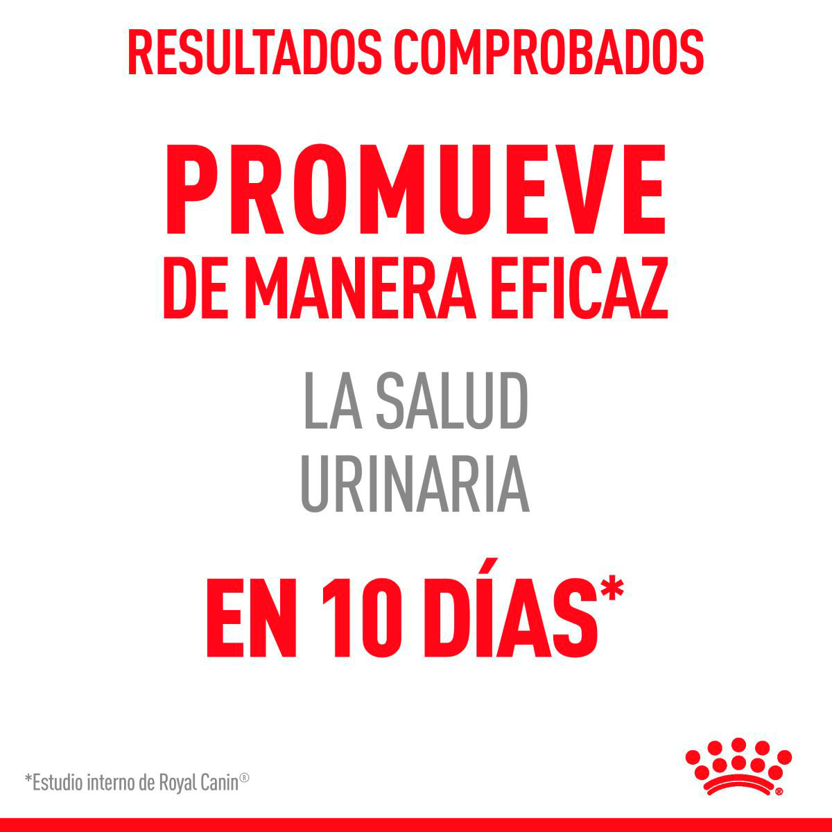 Royal Canin Alimento Húmedo Cuidado Urinario para Gato Adulto 85 g