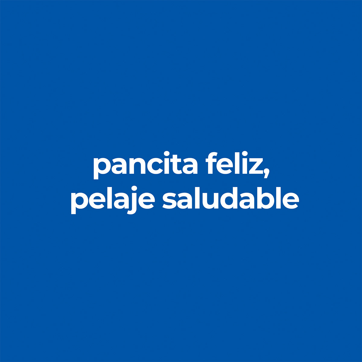 Hill's Science Diet Alimento Seco Piel y Estómago Sensibles para Perro Raza Mediana/Grande (UNICAMENTE BAJO PEDIDO)