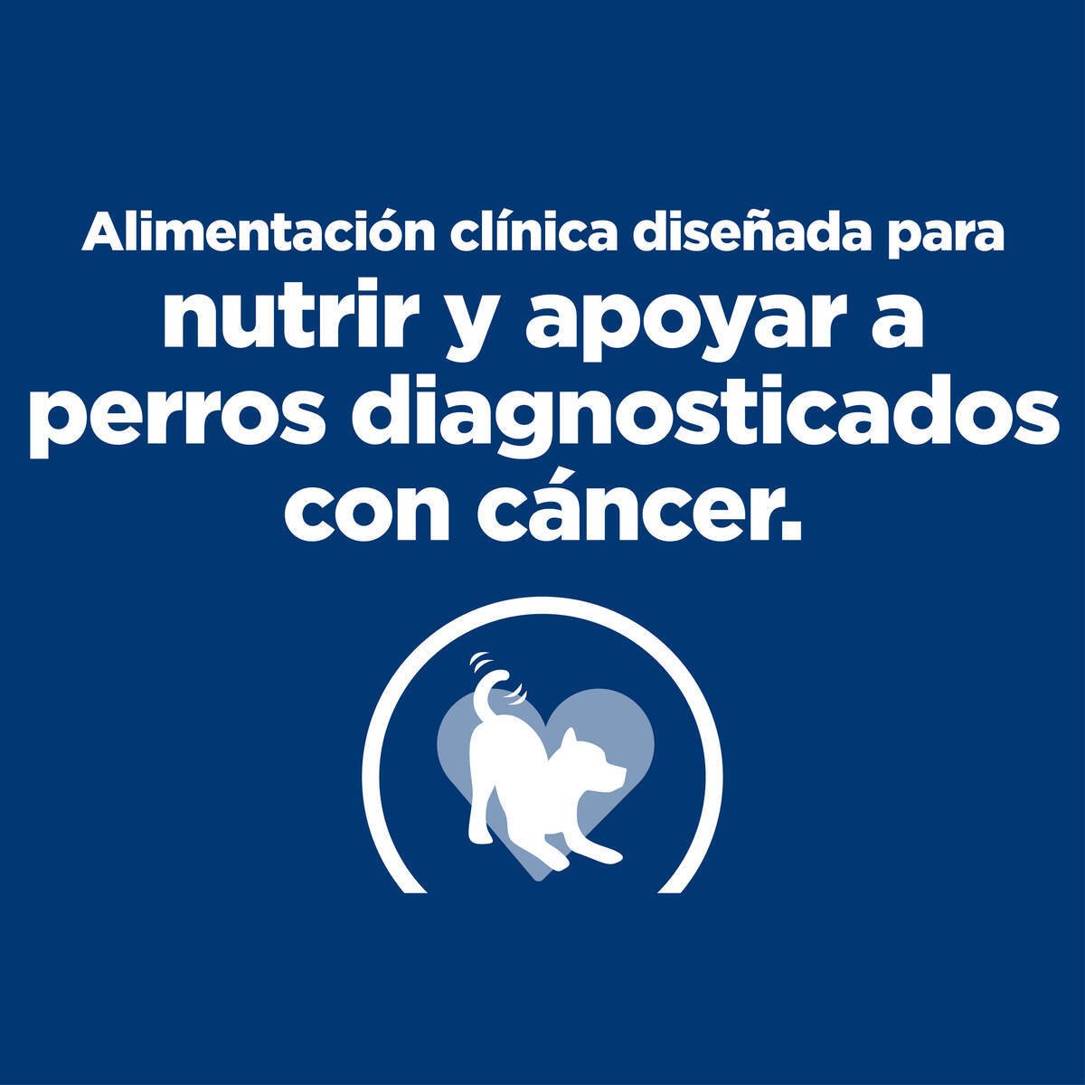 Alimento Hill's Prescription Diet Onc Care Para Perro (UNICAMENTE BAJO PEDIDO)