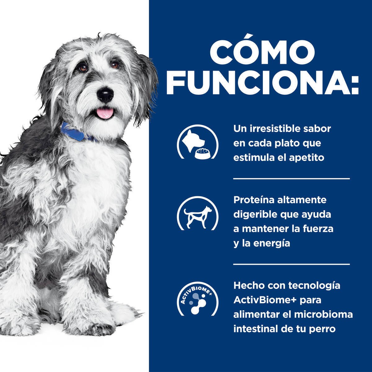 Alimento Hill's Prescription Diet Onc Care Para Perro (UNICAMENTE BAJO PEDIDO)