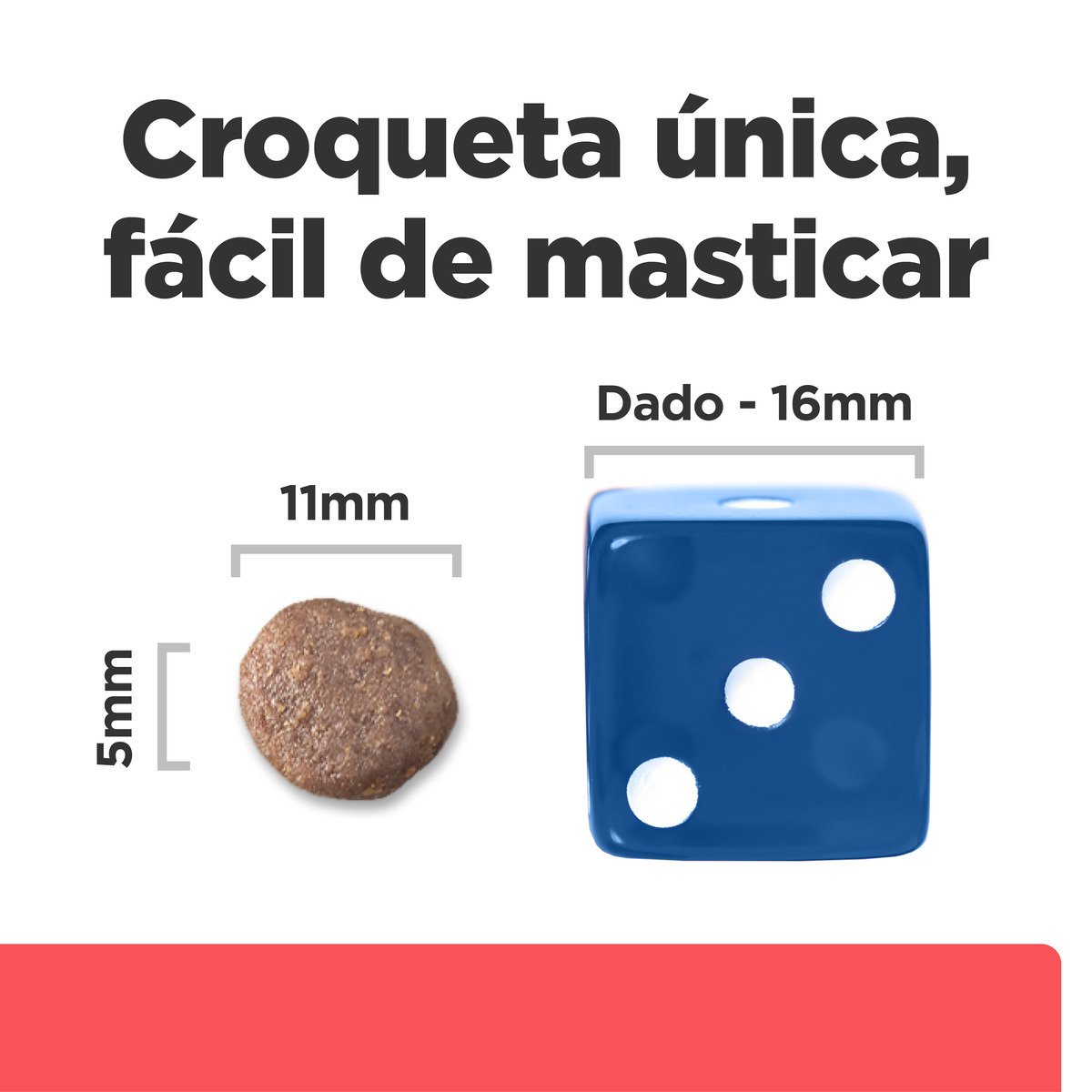 Alimento Hill's Prescription Diet Onc Care Para Perro (UNICAMENTE BAJO PEDIDO)