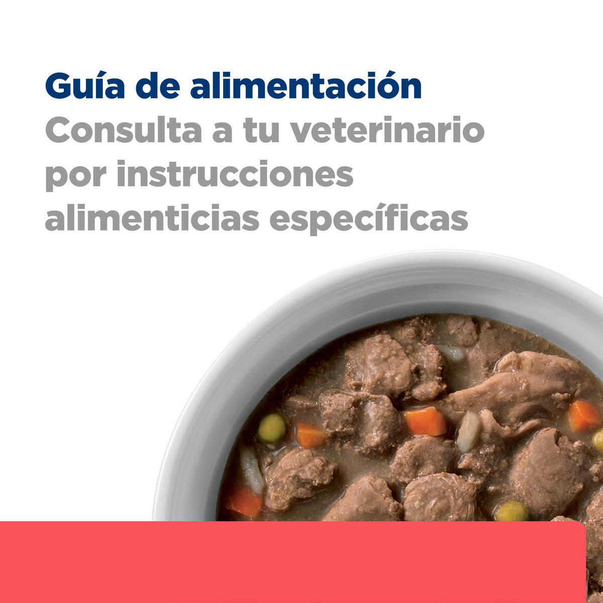 Hill's Prescription Diet Onc Care Alimento Húmedo Oncológico para Perro Adulto 354 g (UNICAMENTE BAJO PEDIDO)