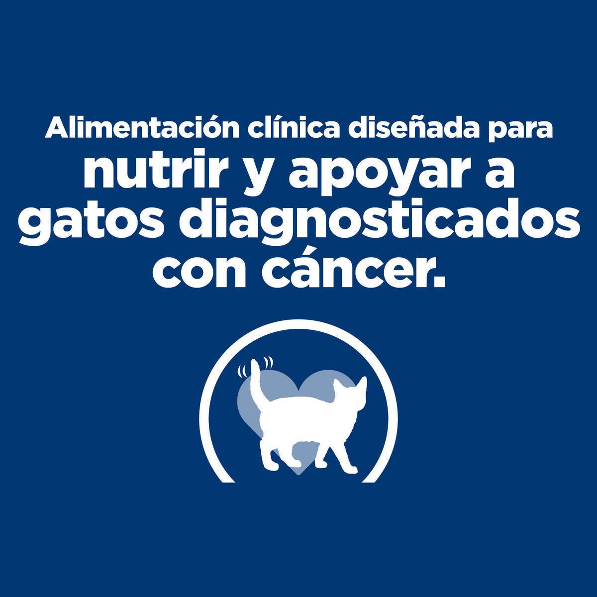 Alimento Hill's Prescription Diet Onc Care Para Gato Lata 82g (ÚNICAMENTE BAJO PEDIDO)