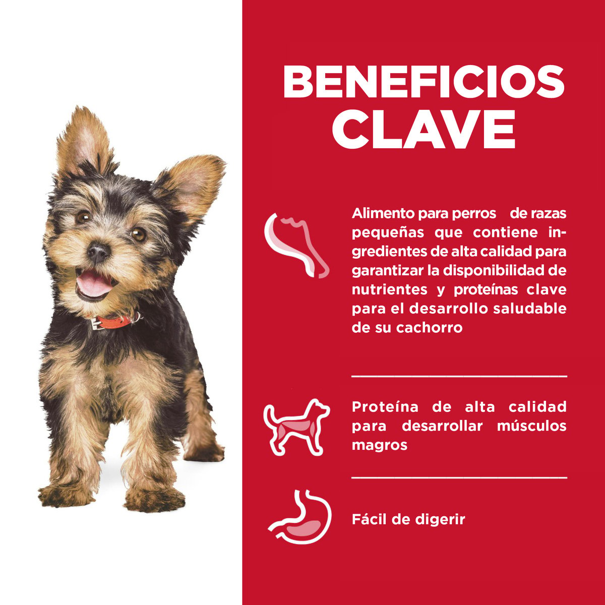 Hill's Science Diet Small & Mini Alimento para Perro Cachorro Raza Pequeña y Mini Receta Pollo, 99 g