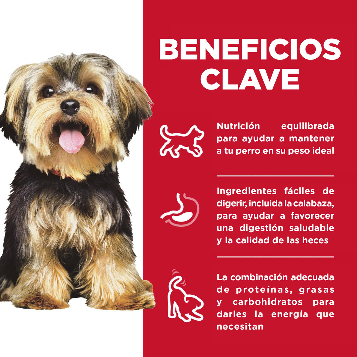 Hill's Science Diet Small & Mini Alimento Húmedo para Perro Adulto Raza Pequeña y Mini Receta Pollo, 99 g