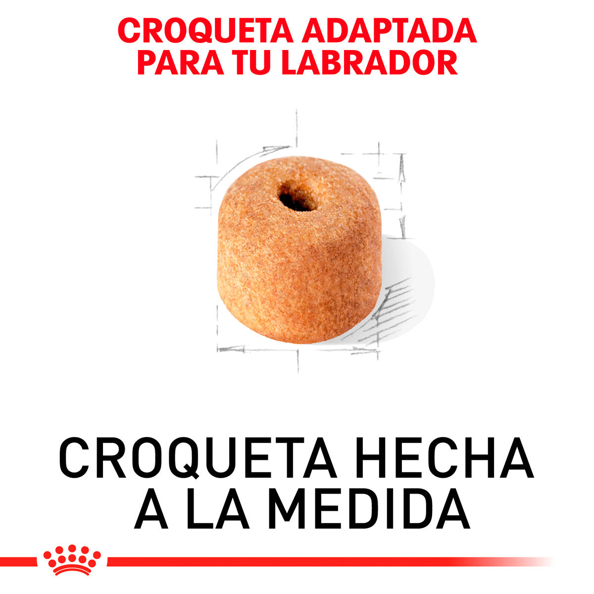 Royal Canin Alimento Seco para perro Adulto Raza Labrador Retriever 13.61kg