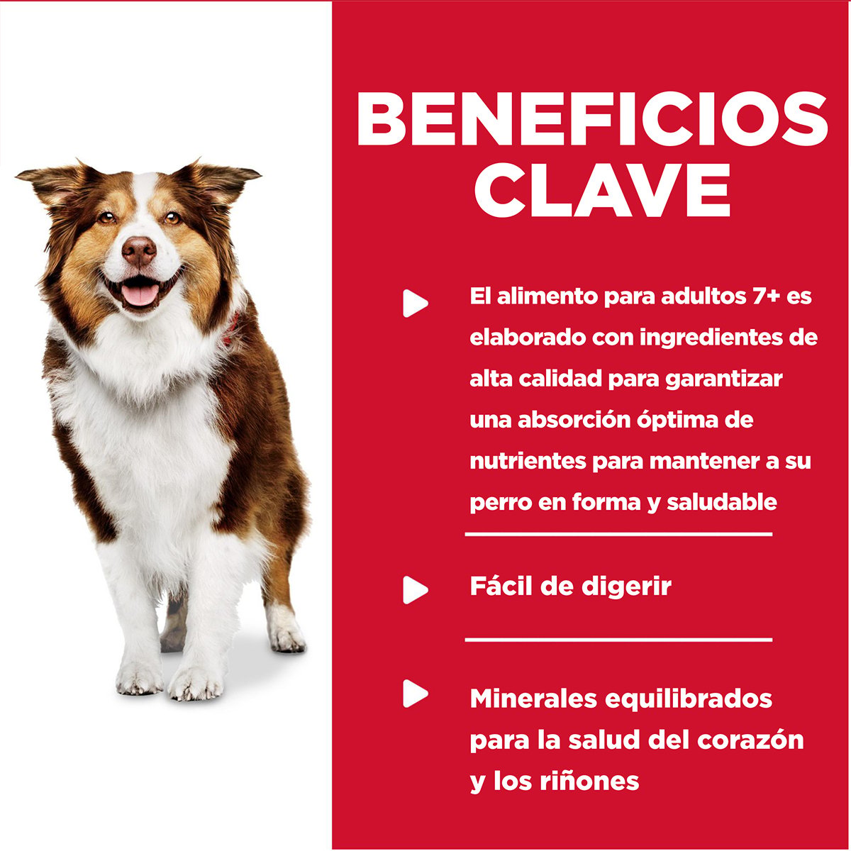 Hill's Science Diet Alimento Húmedo Receta Res y Cebada para Perro Senior 7+ 370 g