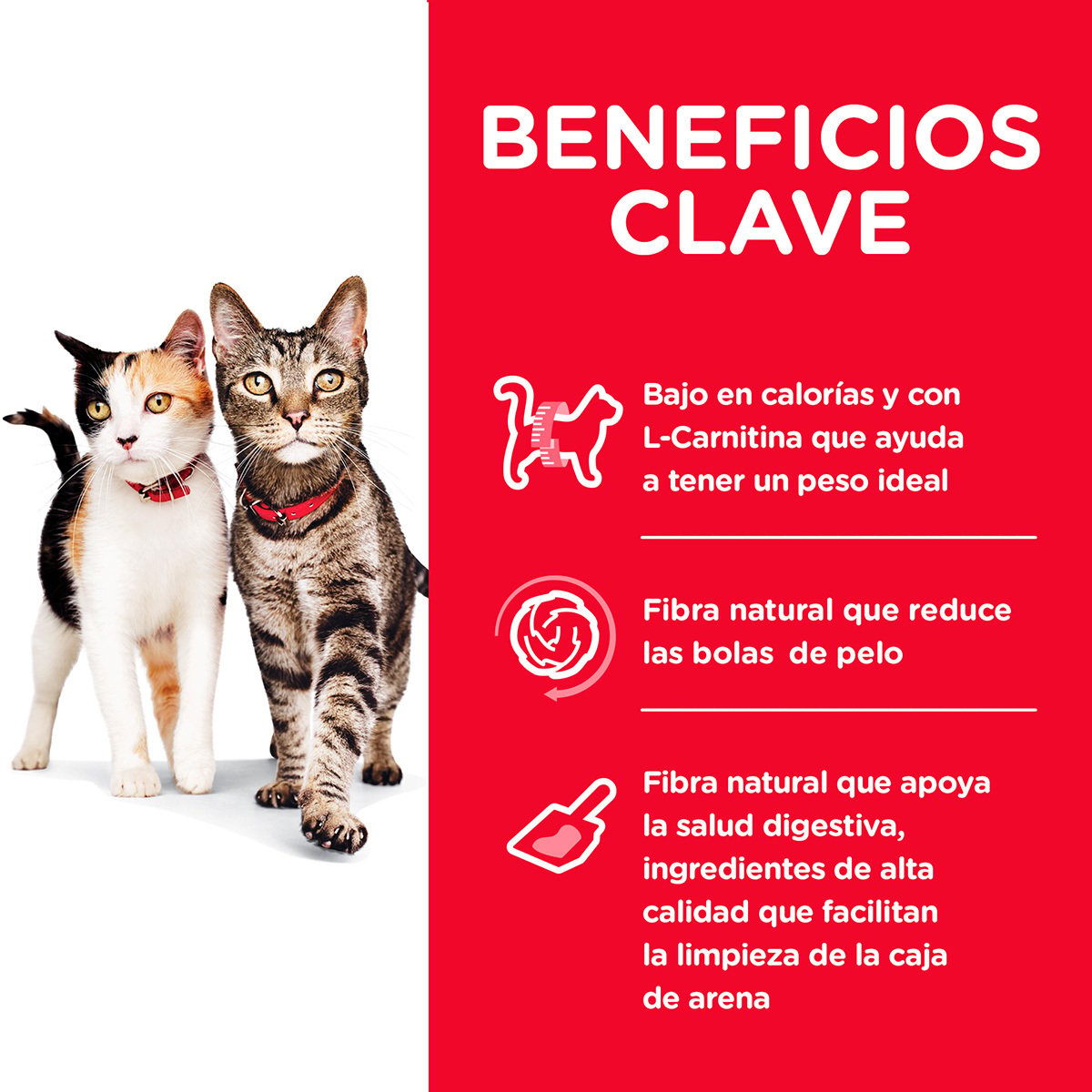 Alimento Hill's Science Diet Original Adulto Multi Beneficios Para Gato (UNICAMENTE BAJO PEDIDO)